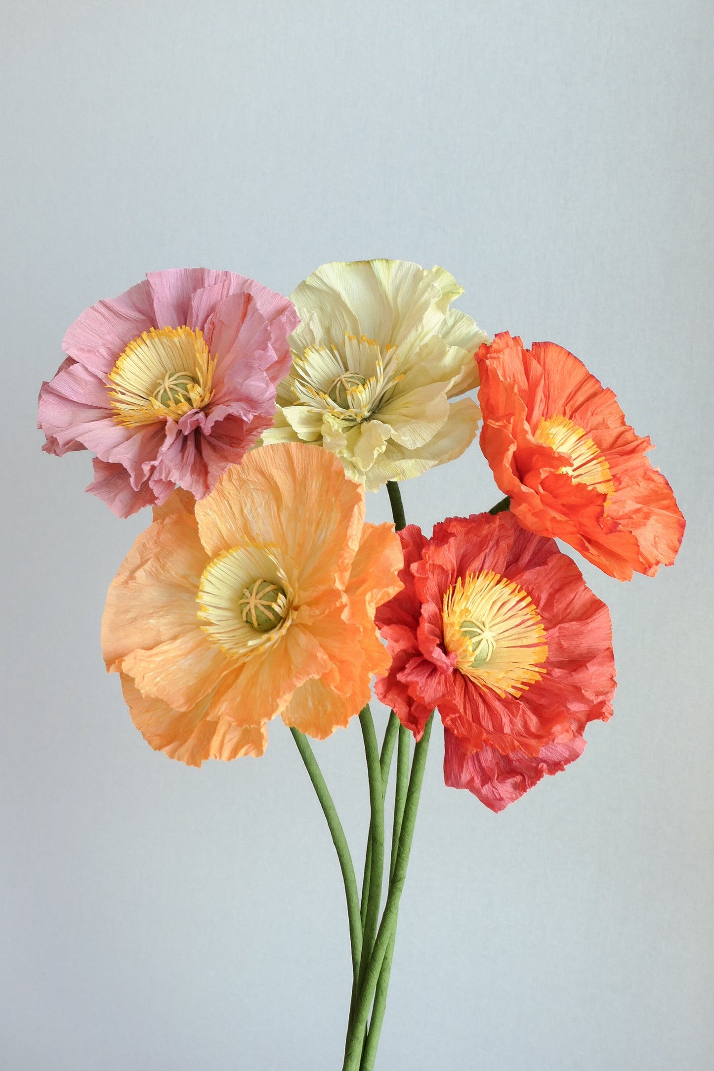 A bouquet of 5 Iceland Poppies made of crepe paper.