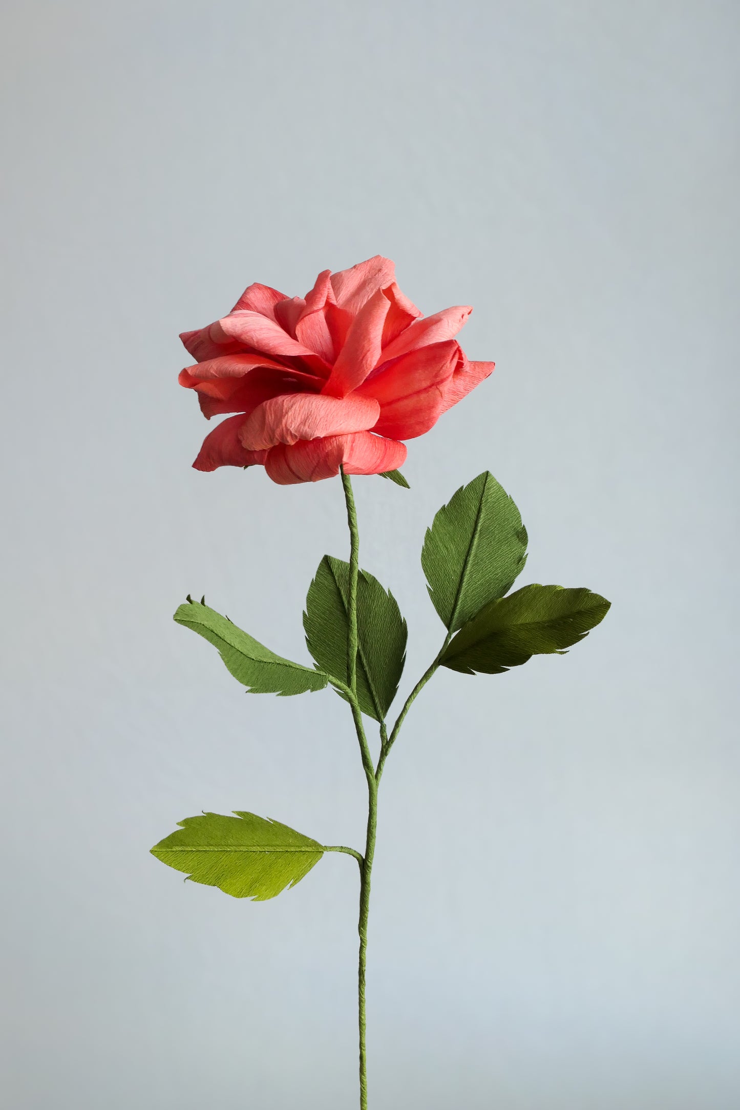 A red rose handmade with crepe paper