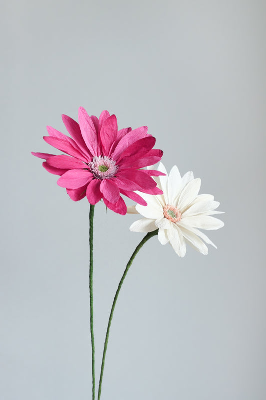 Two Gerbera Daisies made of crepe paper: one white and one pink.