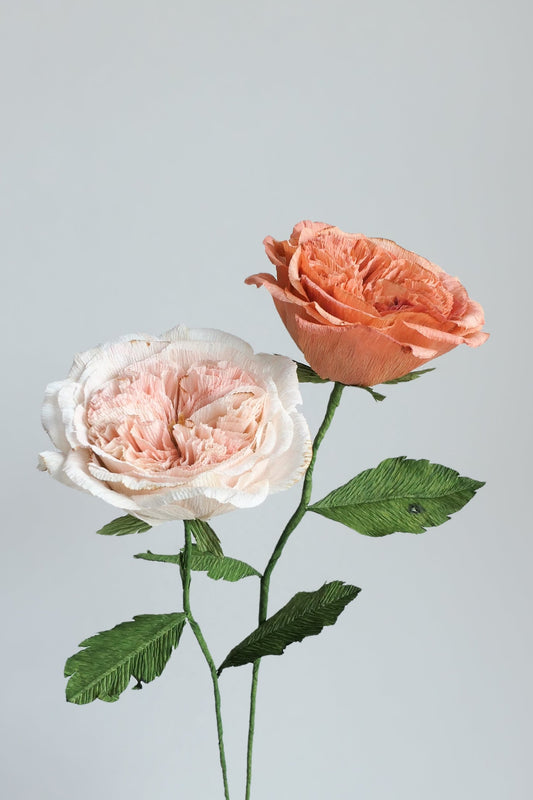 Two Juliet Roses made of crepe paper: one white and one orange.